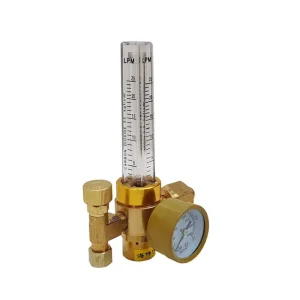 Titan Shop |Reductor Argon ProWELD Reducere specială