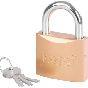 Ofertă exclusivă Lock Strend Pro FT 63 mm, pandantiv, auriu