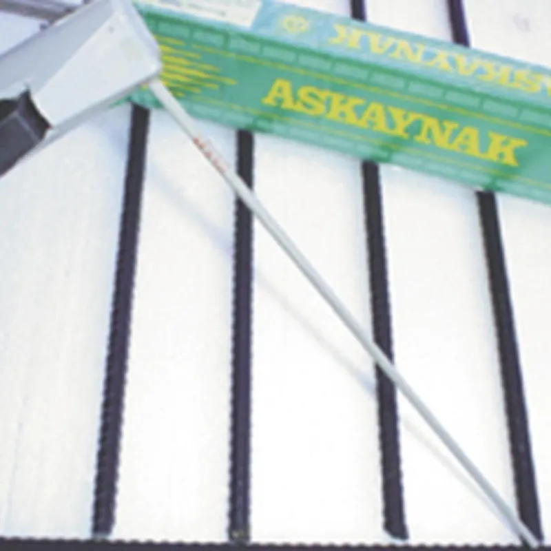 Electrozi BAS o3,2/350mm (pachet=5,0 kg; 133pcs) ASKAYNAK Ofertă