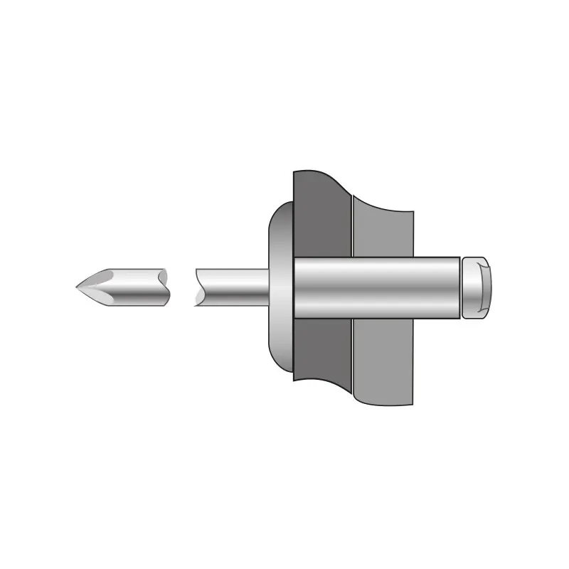 Pop-nit cap lat, Otel - Otel , Bralo Livrare gratuită