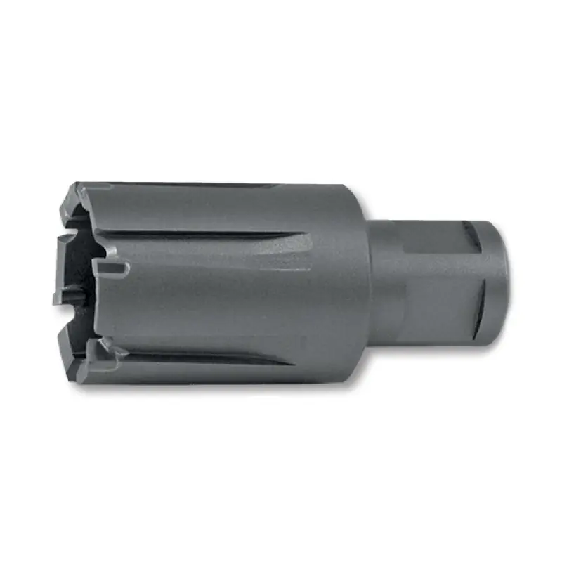 Carotiere cu carbura de tungsten, wolfram, prindere Weldon ¾, pentru sine de cale ferata, adancime de taiere 30.0 mm, RUKO Plată securizată