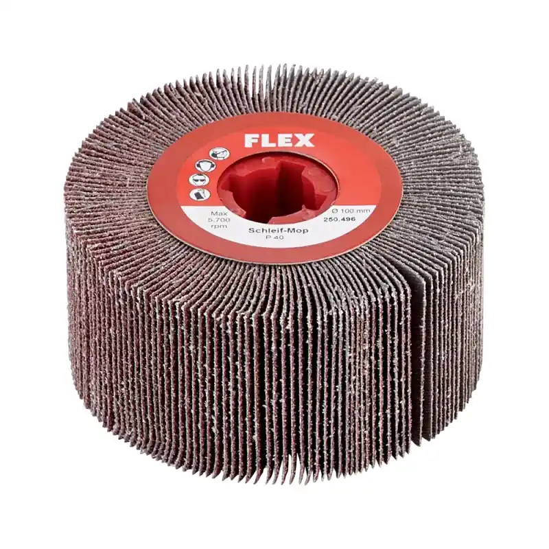 Perie abraziva EVANTAI, pentru BSE 14-3 100 , Flex Expediere rapidă