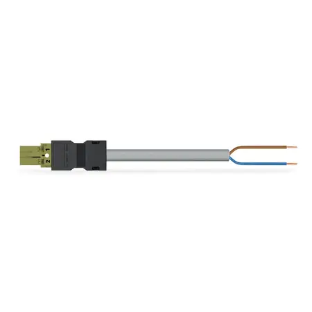 pre-assembled connecting cable; Eca; Plug/open-ended; 2-pole; Cod. B; Control cable 2 x 1.0 mm²; 2 m; 1,00 mm²; light green Wago Plată securizată