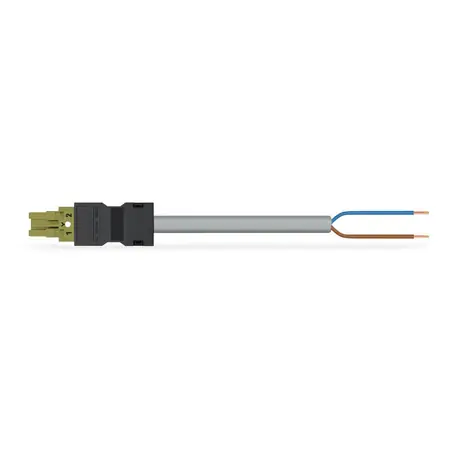 Ultima șansă pre-assembled connecting cable; Eca; Socket/open-ended; 2-pole; Cod. B; Control cable 2 x 1.5 mm²; 3 m; 1,50 mm²; light green Wago